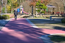公園内の遊歩道